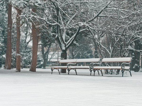 Recettes détox maison pour une perte de poids efficace